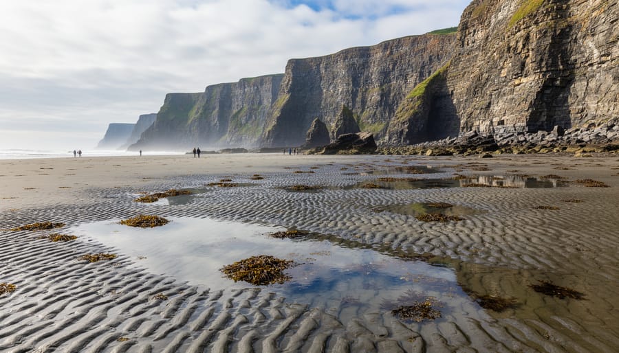 Low-tide coastline in Fundy National Park with rocky shore, distant cliffs, and misty sea